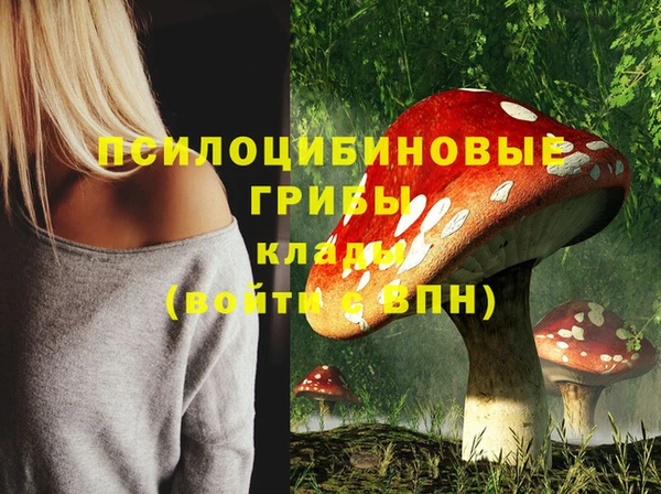 амф Баксан