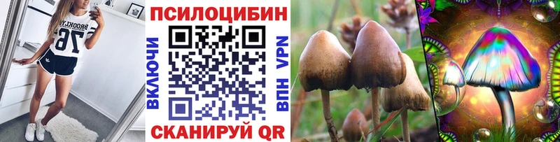 Галлюциногенные грибы Cubensis даркнет как зайти Уржум